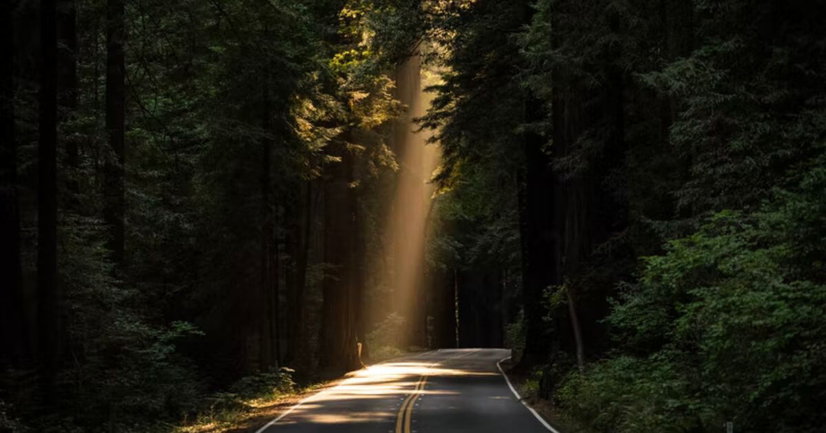 自己理解を深めて、自分なりの対策を考えていきましょう