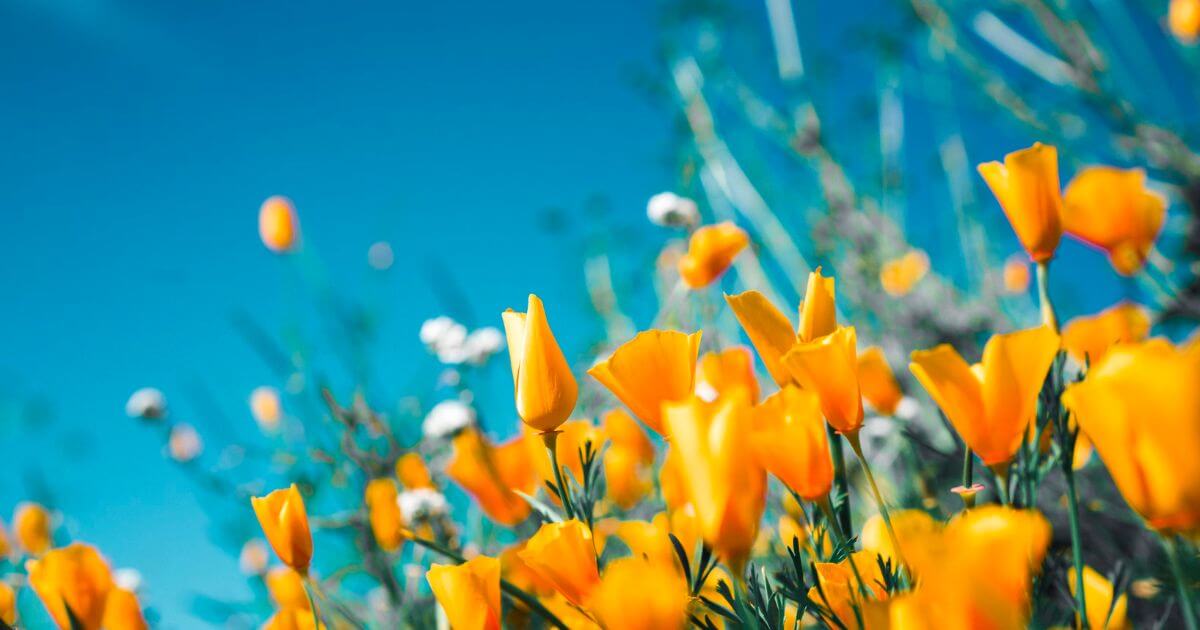 現在ではADHDに統一されています