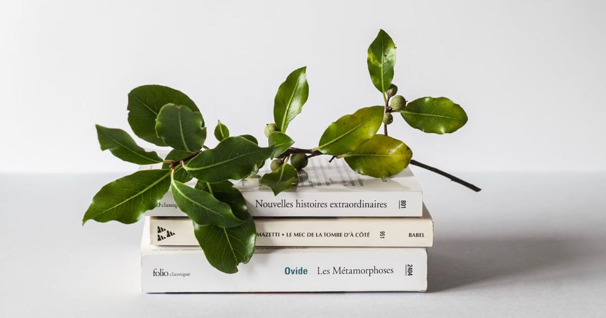 スティーヴン・スピルバーグさんの意外なエピソード・魅力３選！