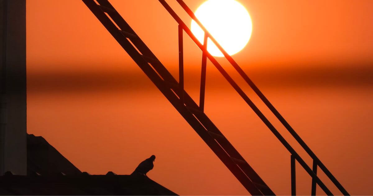 すい臓がんを民間療法で治そうとしていた