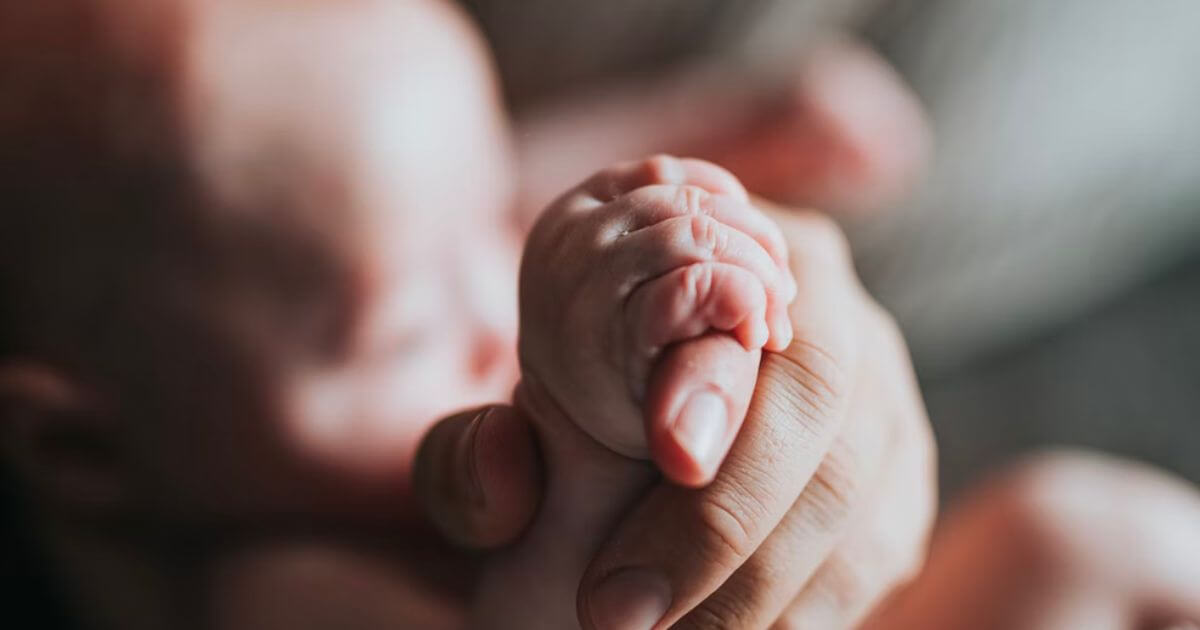 スティーヴン・スピルバーグさんの生い立ち