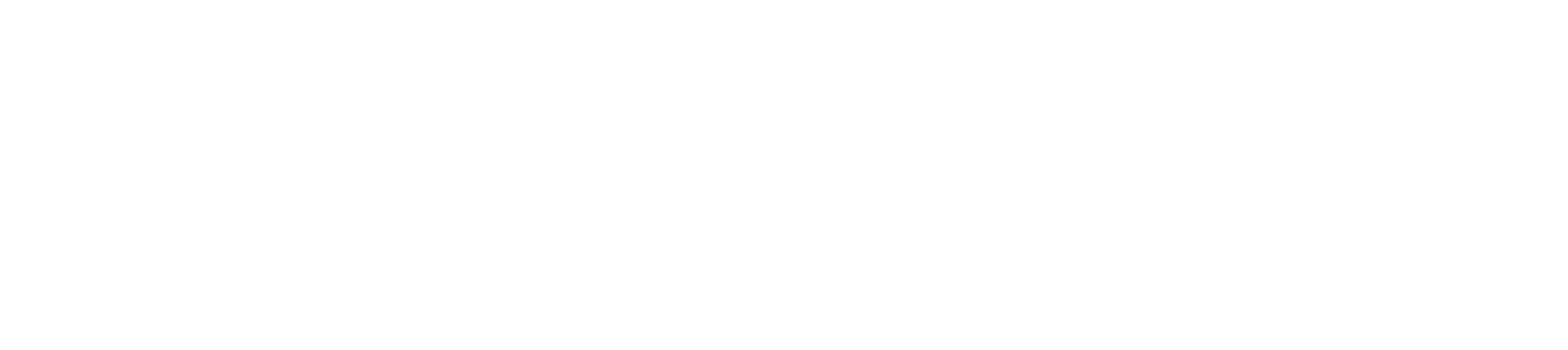 WE CAN DEVELOP YOUR FUTURE